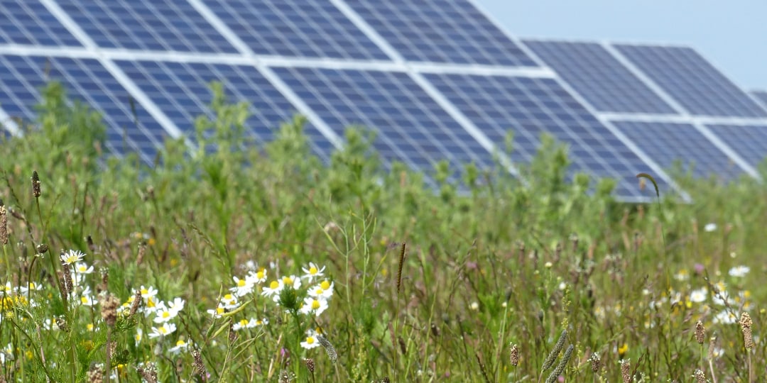 Solar farm in Swindon